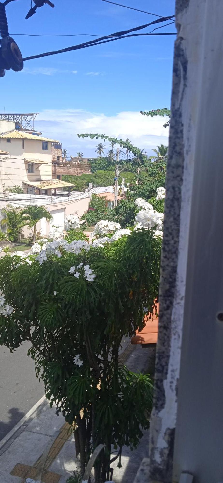 Kit Net Carlotta Apartamentos Salvador Exterior photo